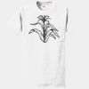 Authentic 100% Cotton T Shirt with Pocket Thumbnail