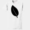 Authentic 100% Cotton T Shirt with Pocket Thumbnail