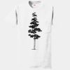 Authentic 100% Cotton T Shirt with Pocket Thumbnail