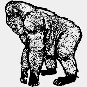 Monkey Thumbnail
