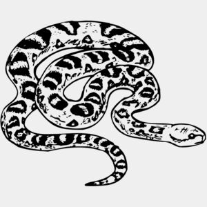Snake Thumbnail