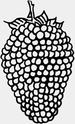 Fruit