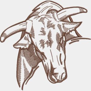 Bulls Thumbnail