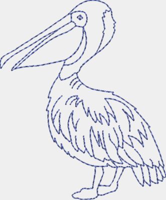 Pelican