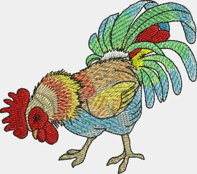 Rooster