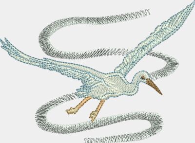 Egrets