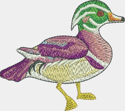 Ducks