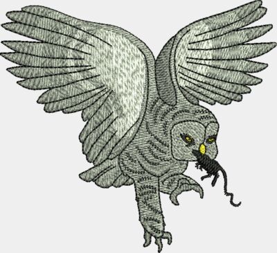 Owl