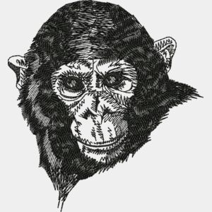 Chimpanzee Thumbnail