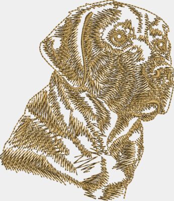 Labrador