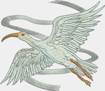 Ibis