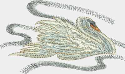 Swans