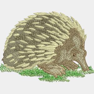 Echidna Thumbnail