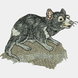 Tasmanian Devil Thumbnail