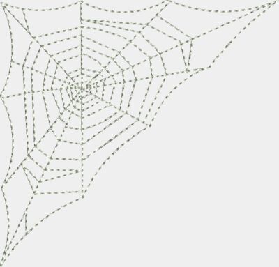 Spiders