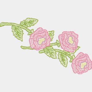Roses Thumbnail