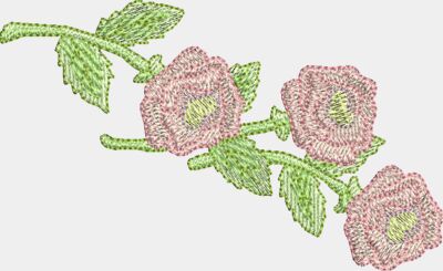 Roses