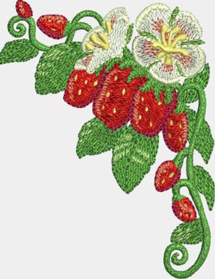 Strawberry