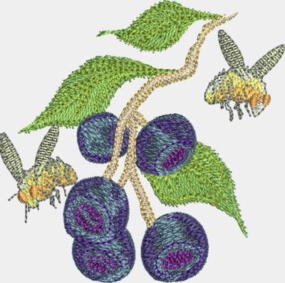 Berries