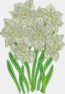 Daffodils