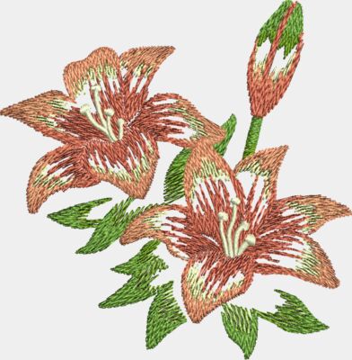 Lilies