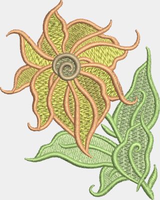 Coneflowers