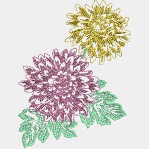 Chrysanthemum Thumbnail