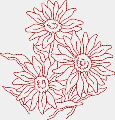 Daisies