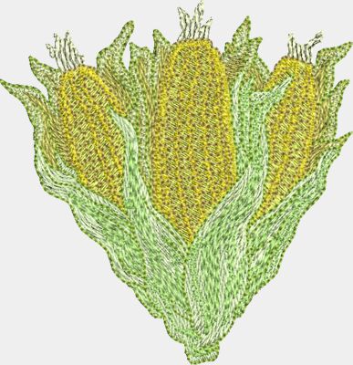Corn