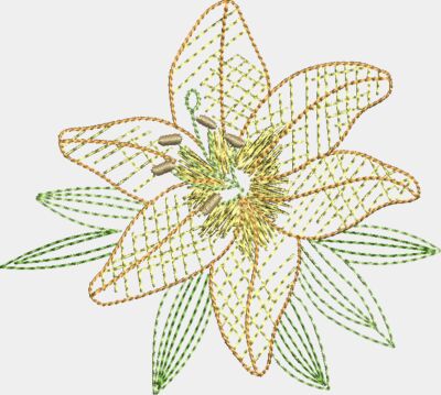 Lily